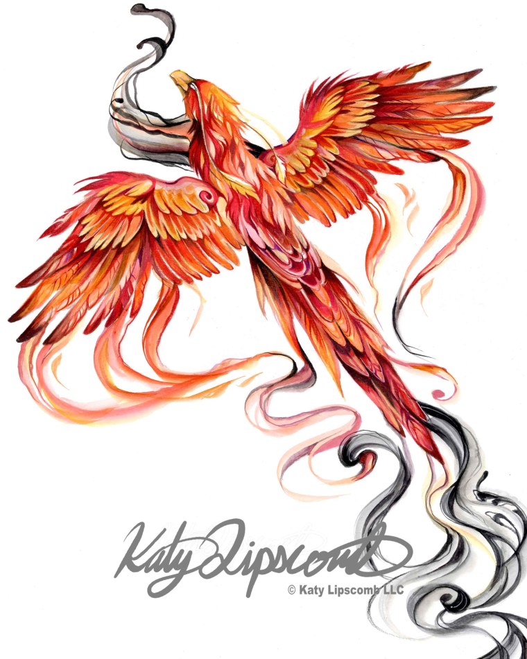 Феникс схематично