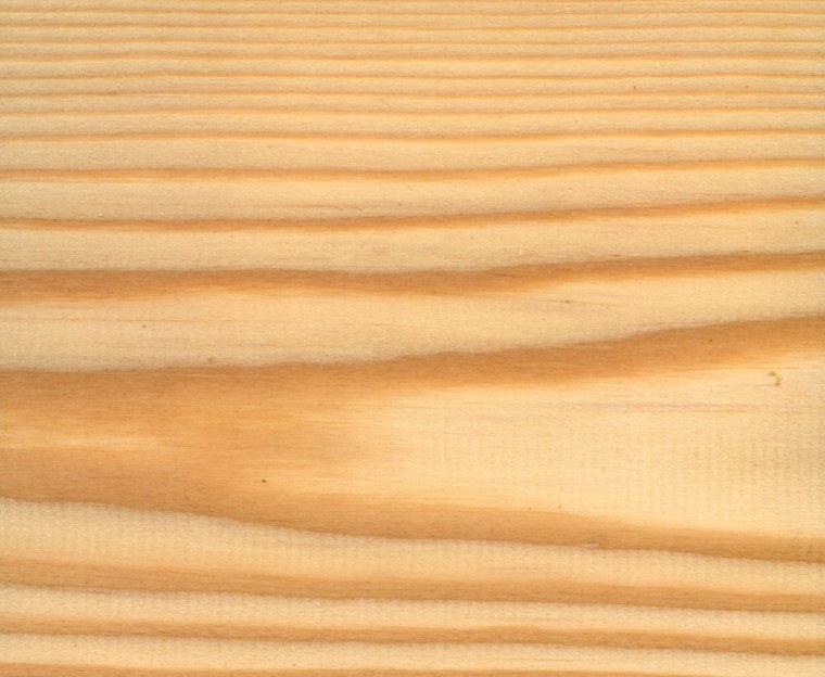 Светлое дерево текстура