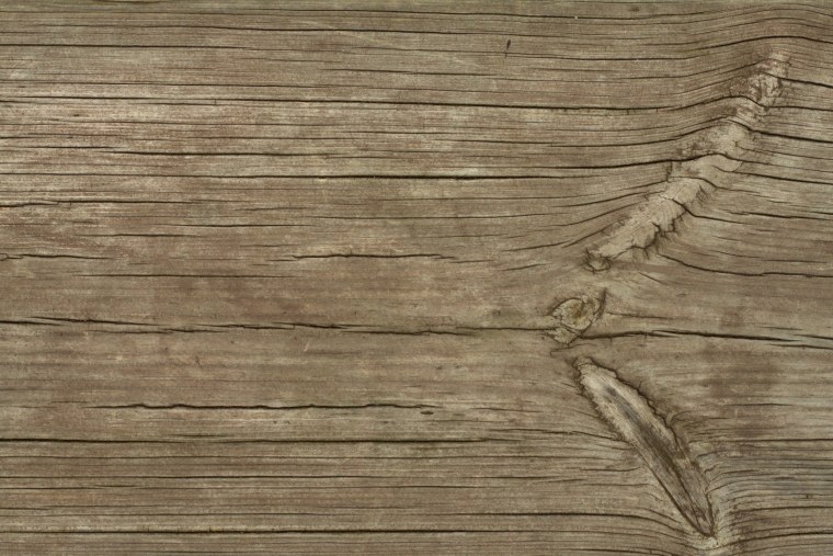 Структура дерева бесшовная