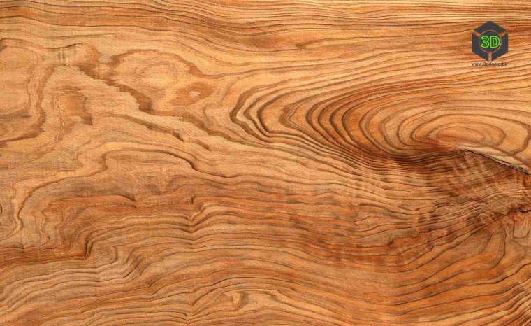 Карагач фактура древесины