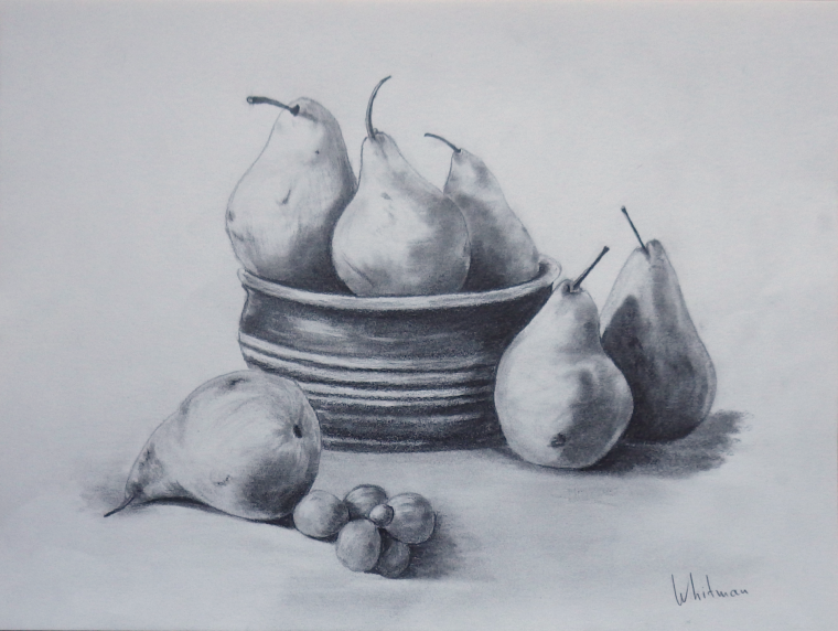 Натюрморт контур