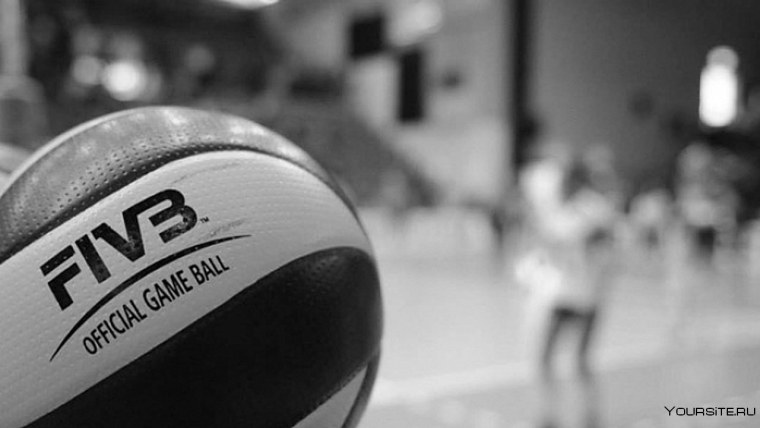 Волейбол фото