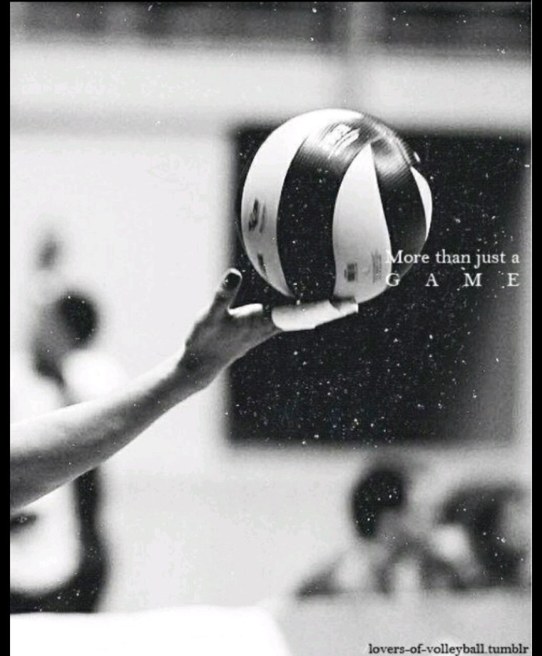 Сетка волейбольная