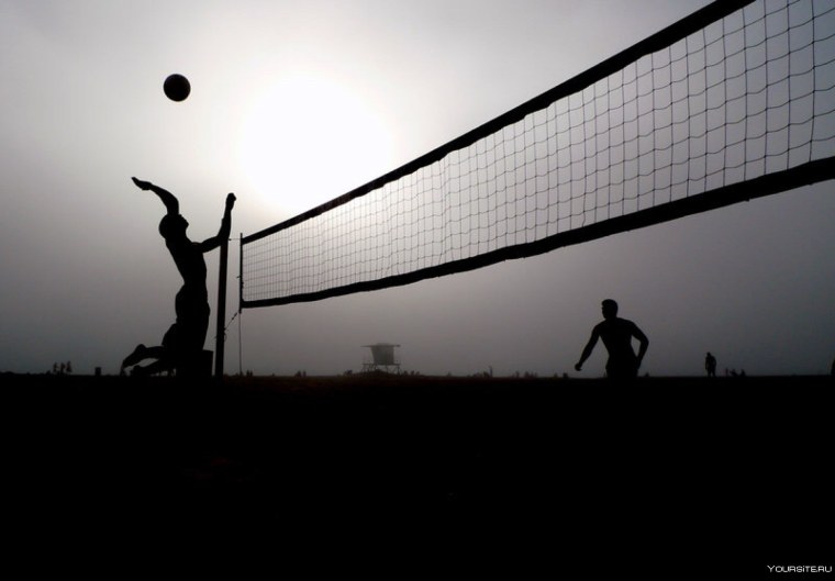 Волейбольная сетка черно белая