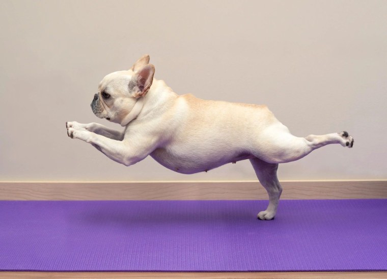 Постер пилатес