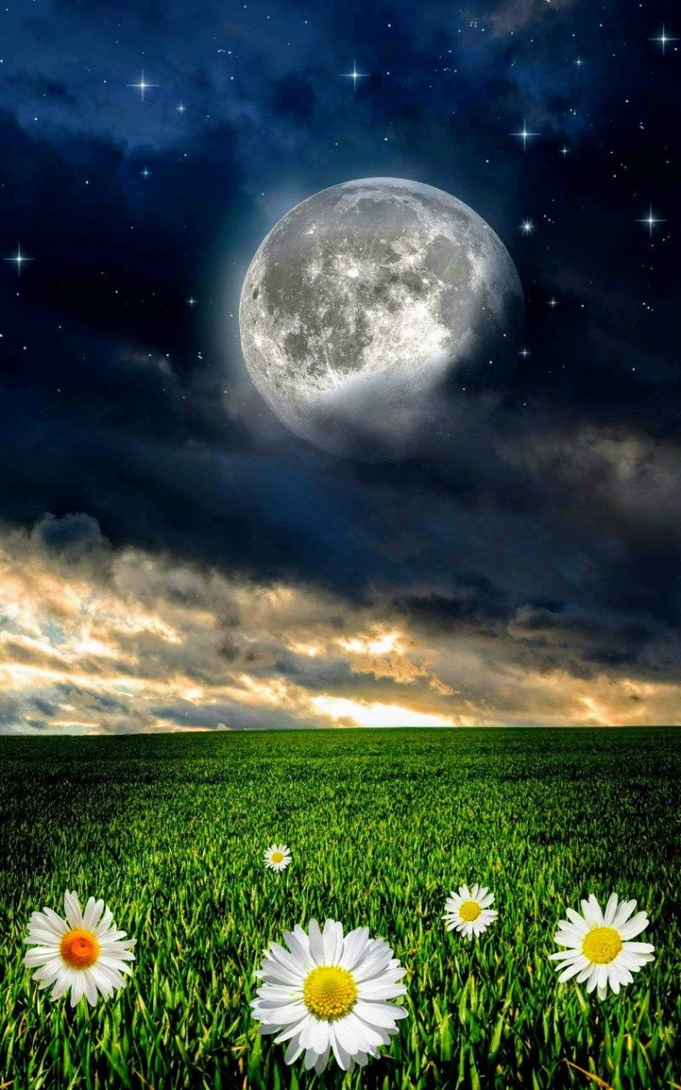 Природа Луны