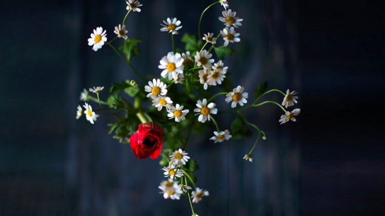 Букет ромашек