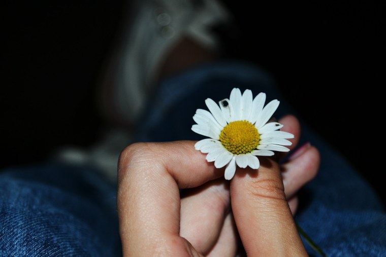 Ромашки в руках