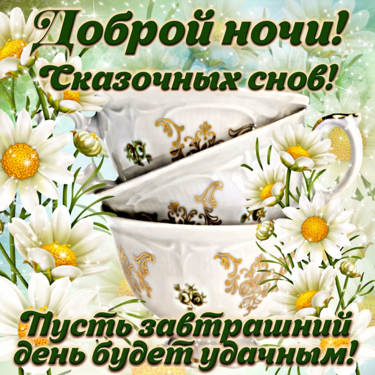 Доброй ночи ромашки