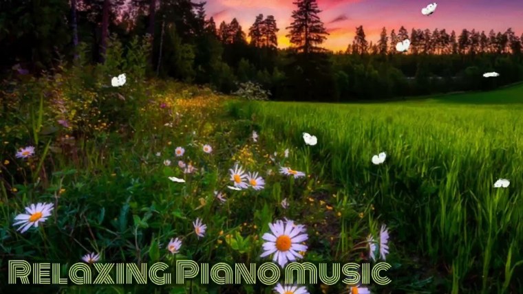 Доброго летнего вечера