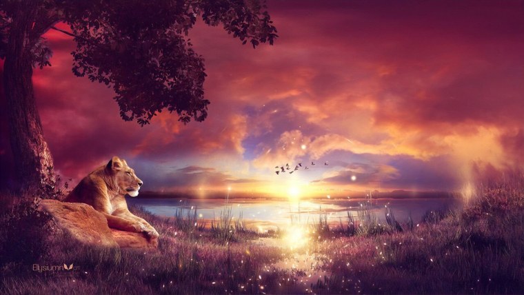 Лев на закате