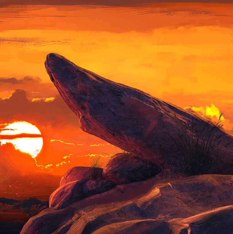 Лев Симба 2019