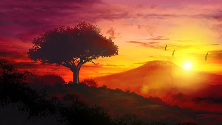 Лев на фоне заката