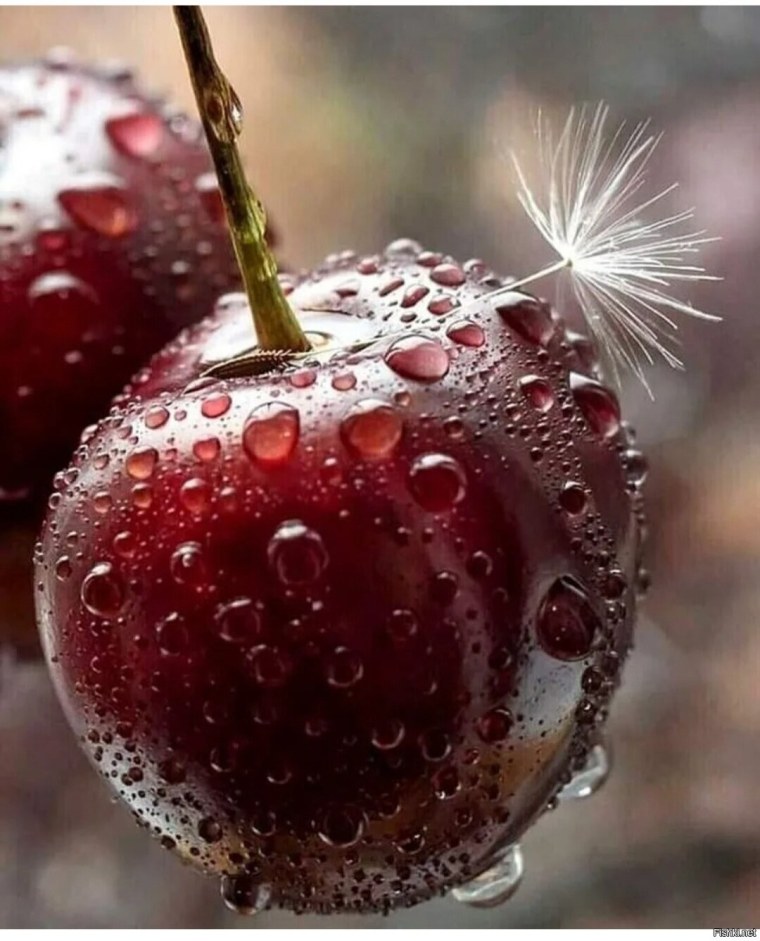 Я люблю тебя Надюшка