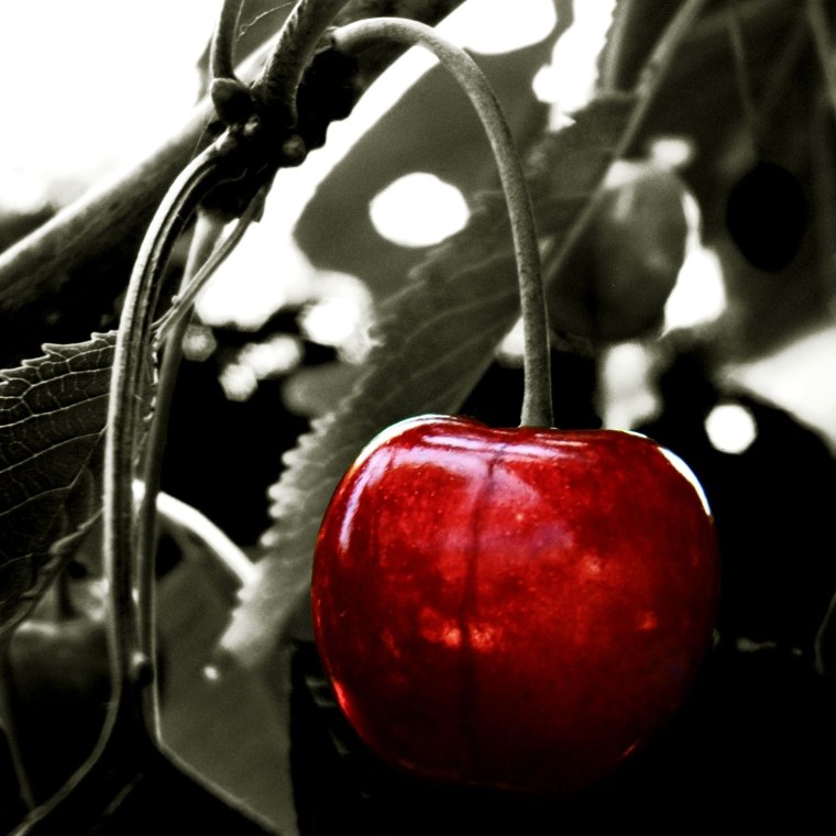 Ягоды в воде