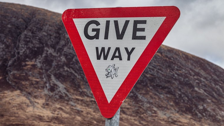 Дисклеймер фото