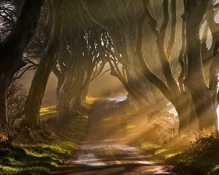 Мистические пейзажи