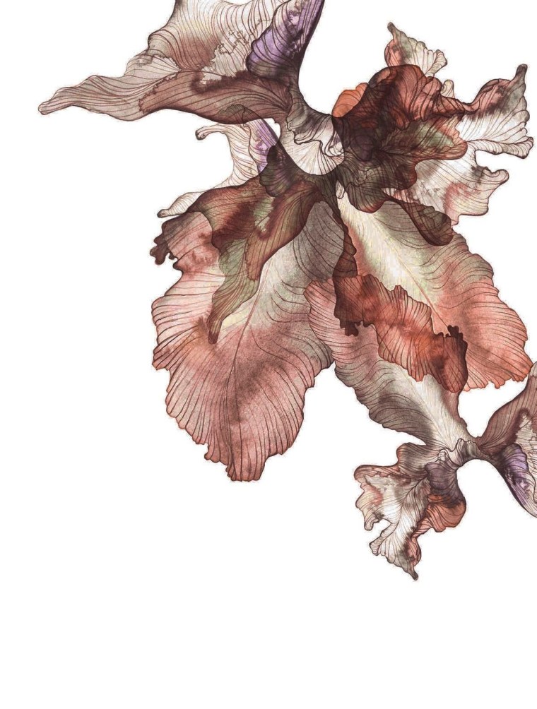 Листья акварель коричневый