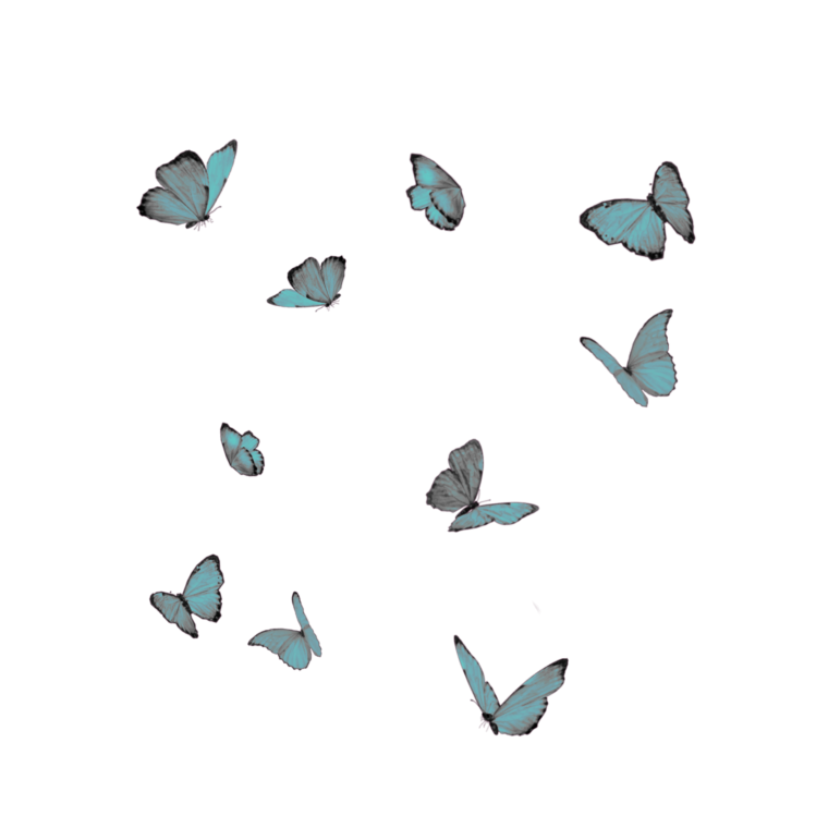 Стикер бабочка на прозрачном фоне