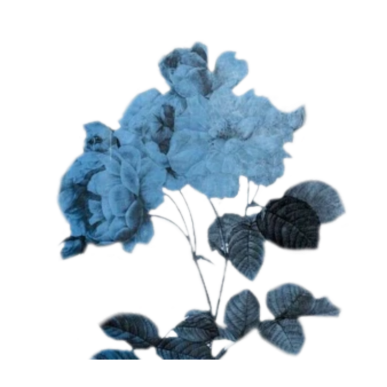 Эстетика синего