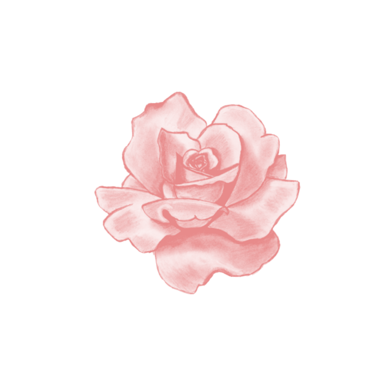 Розовые цветы наклейки