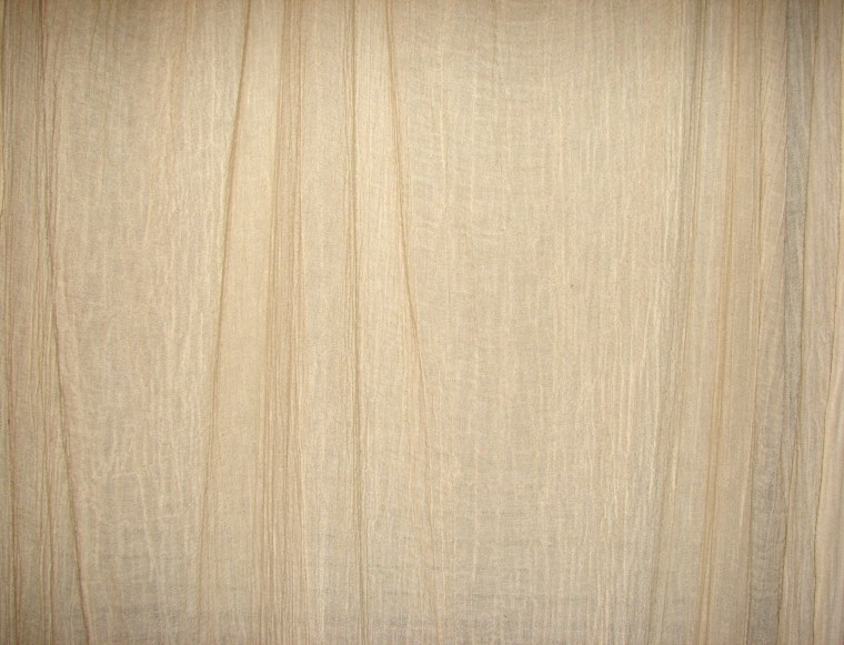 Фактура дерева слоновая кость