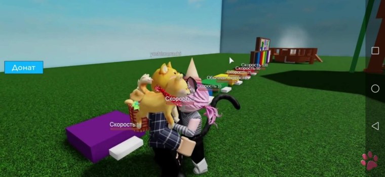 Лана и Йоши шип