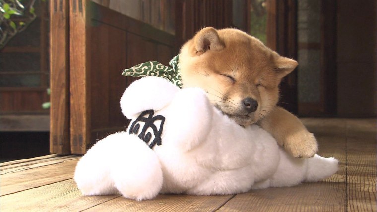 Раскраски надписи