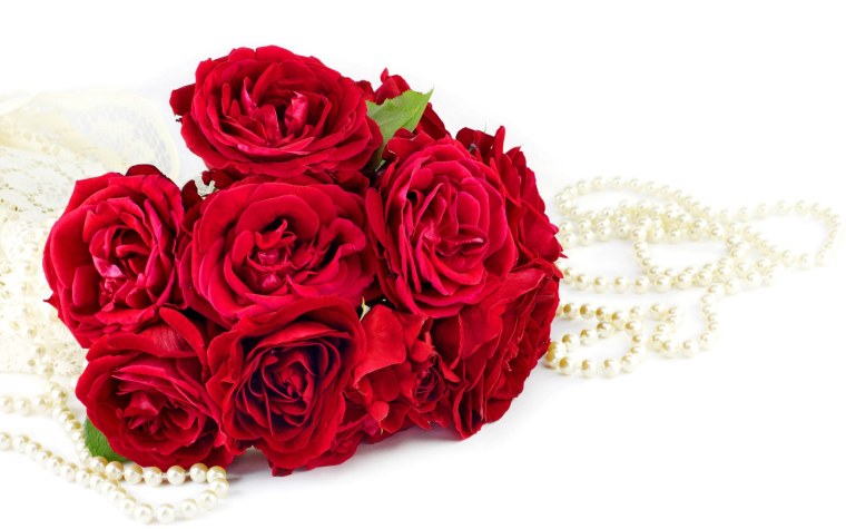 Красные розы