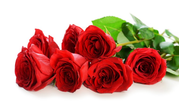 Букет роз огромный