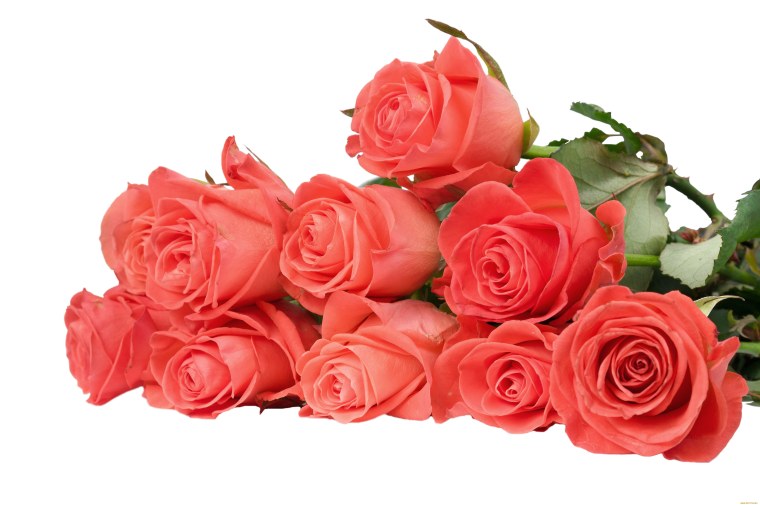 Букет роз на прозрачном фоне