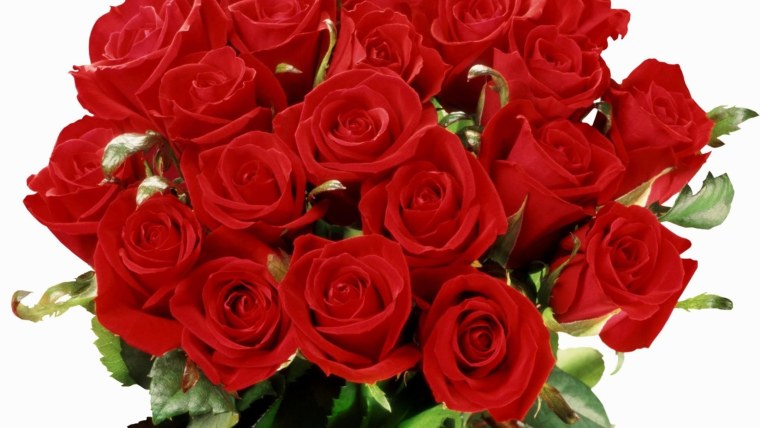 Чайная роза и кустовая роза