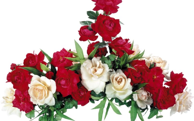 Много цветов на белом фоне