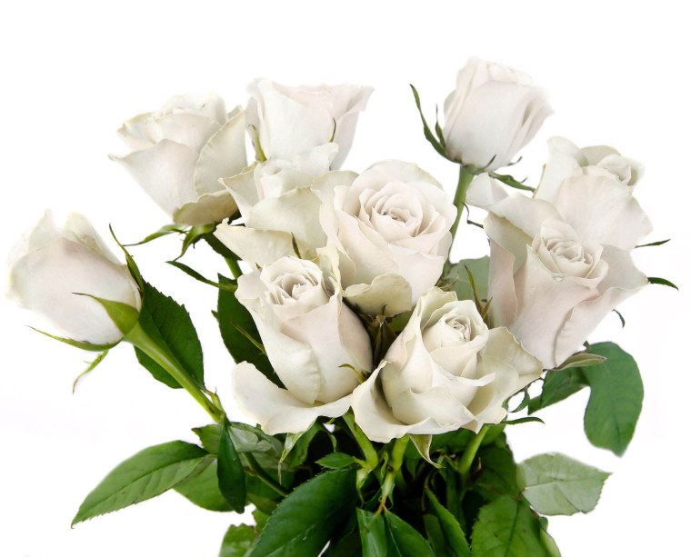 51 Роза Фридом Эквадор