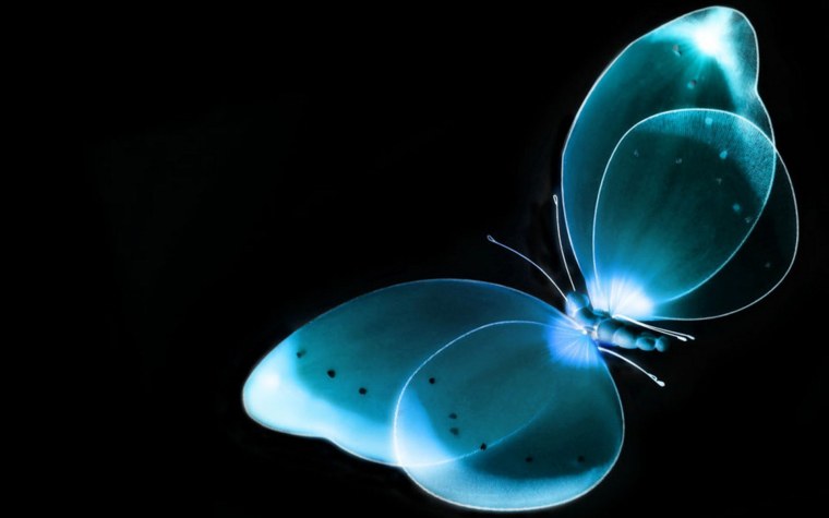 Бабочки на черном фоне