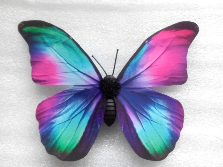 Синие бабочки для печати