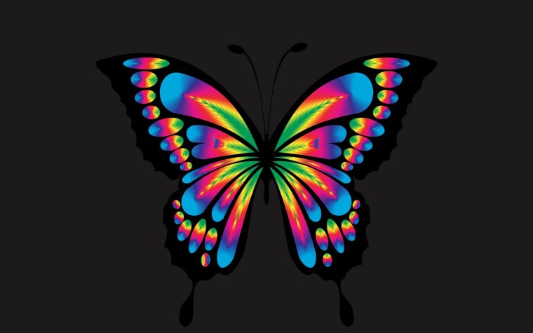 Радужная бабочка