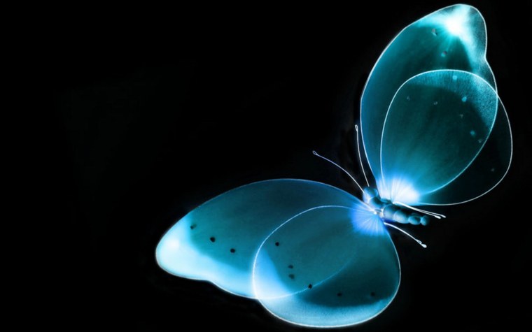 Бабочки на черном фоне