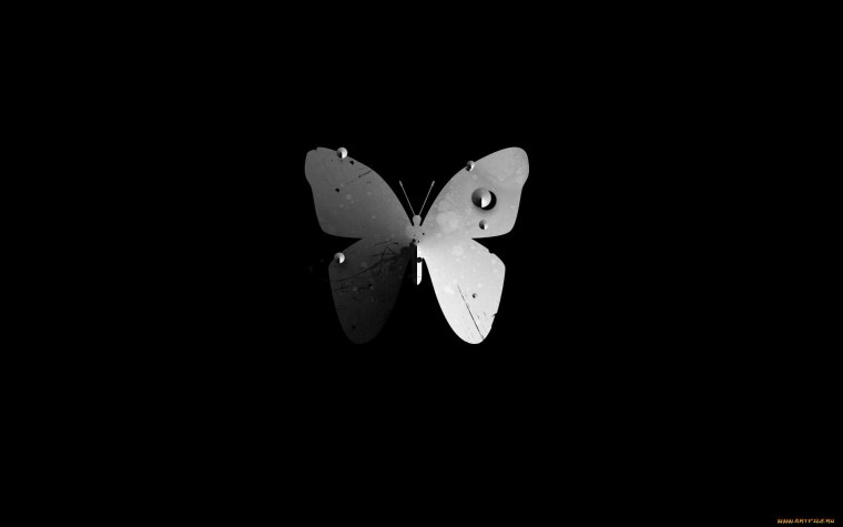 Бабочка на темном фоне