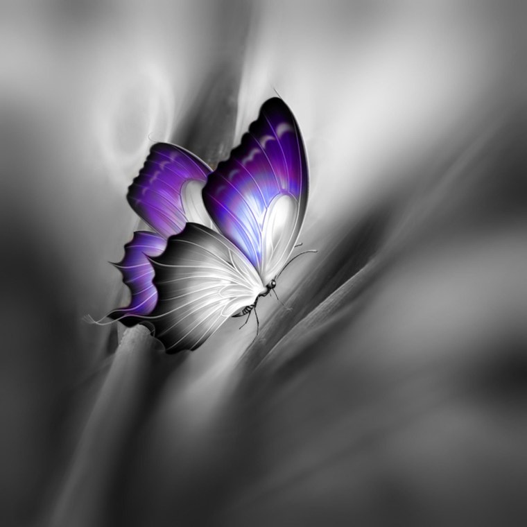 Бабочки акварель на белом фоне