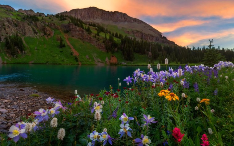 Горы лес озеро река Долина цветы