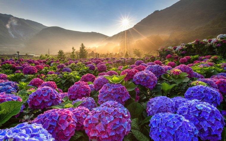 Азорские острова