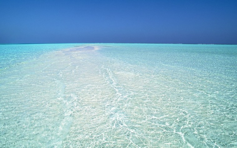 Море пальмы