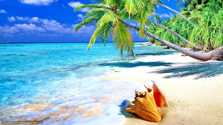 Пейзаж море