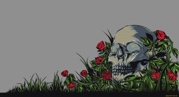 Череп с цветами