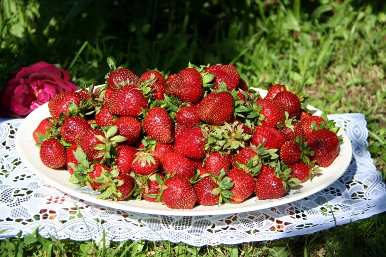 Натюрморт с земляникой