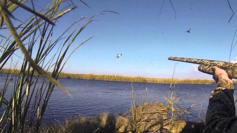 Ружья для охоты