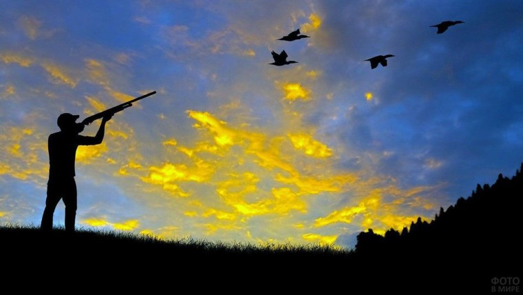 Охотник и Рыбак