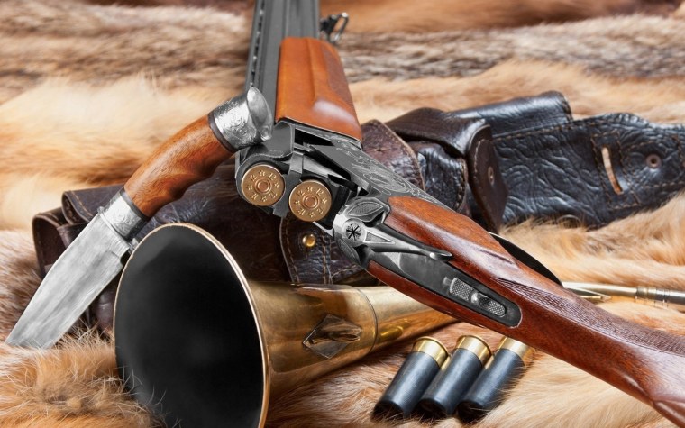 Фон охота природа