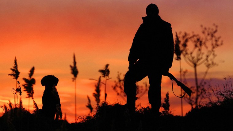 Терри Редлин художник картины